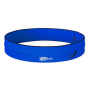 RoyalBlue