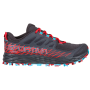 Carbon/Hibiscus