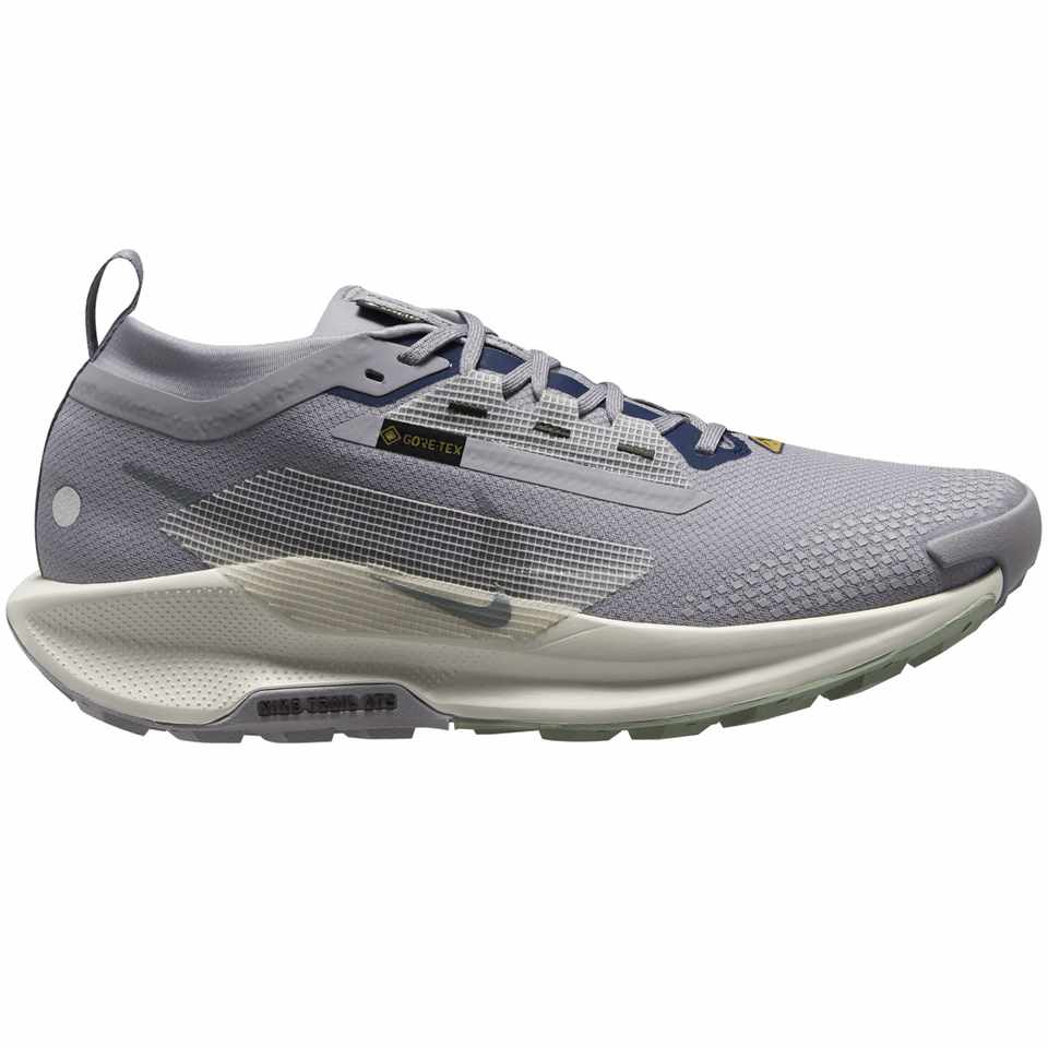 Trakks NIKE Pegasus Trail 5 GTX® Homme Chaussures Homme Trail