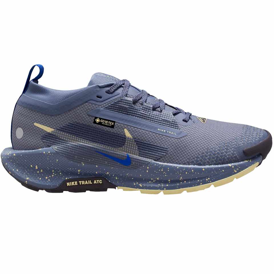 Trakks NIKE WMNS Pegasus Trail 5 GTX® Dames Damesschoenen Trailschoenen