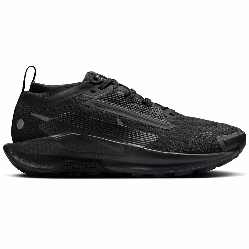 Trakks NIKE WMNS Pegasus Trail 5 GTX® Femme Chaussures Femme Trail