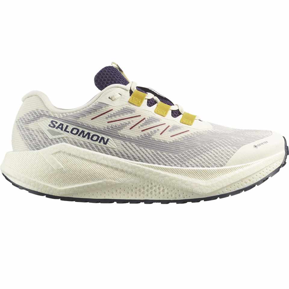 Trakks SALOMON Aero Blaze 3 GRVL GTX® Homme Chaussures Homme Route