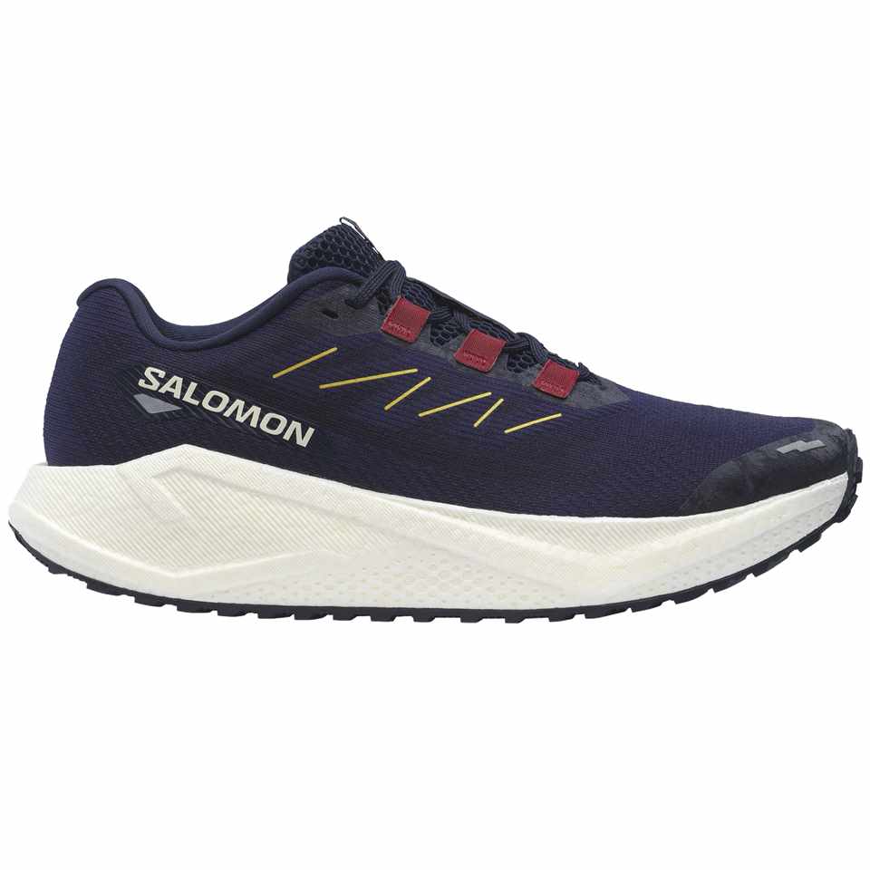 Trakks SALOMON Aero Blaze 3 GRVL Men Men s Shoes Road