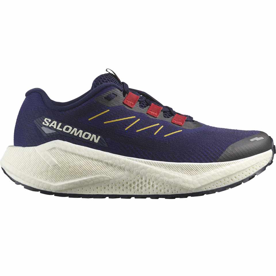 Trakks SALOMON Aero Blaze 3 GRVL W Ladies Ladies Shoes Road