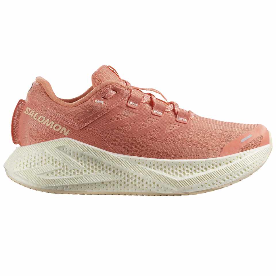 Trakks SALOMON Aero Glide 3 W Dames Damesschoenen Loopschoenen