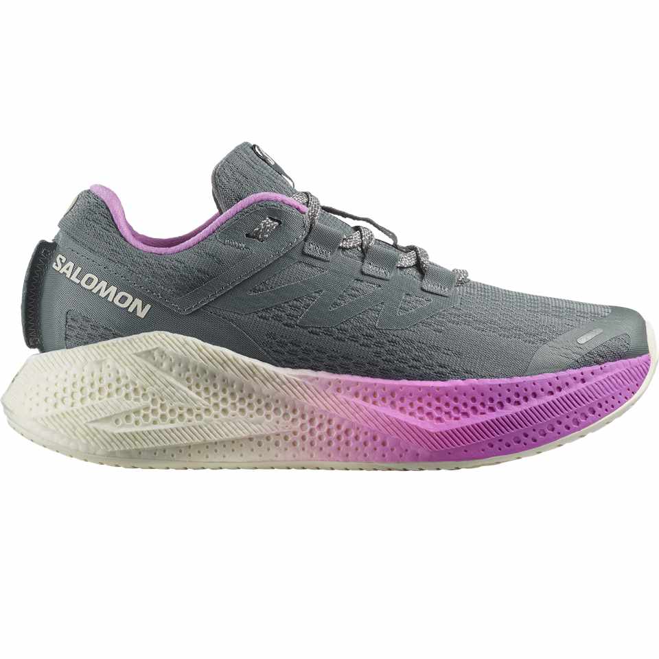 Trakks SALOMON Aero Glide 3 W Dames Damesschoenen Loopschoenen