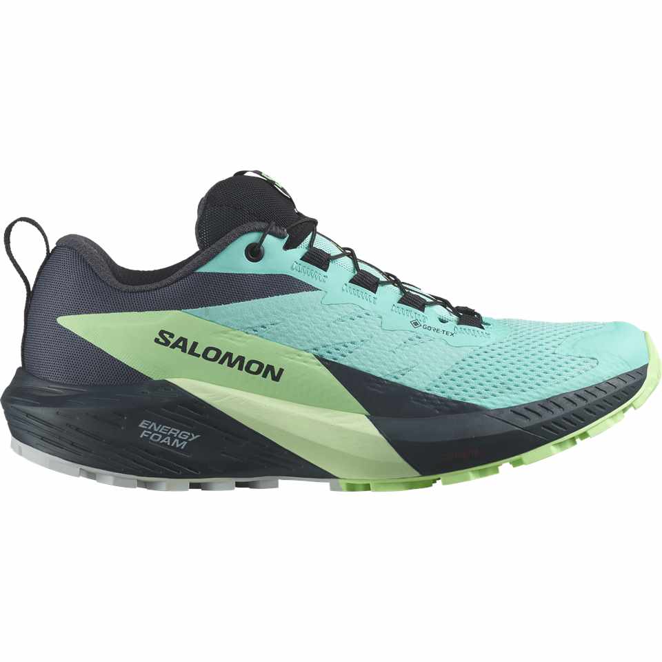 Trakks SALOMON Sense Ride 5 GTX® W Femme Chaussures Femme Route