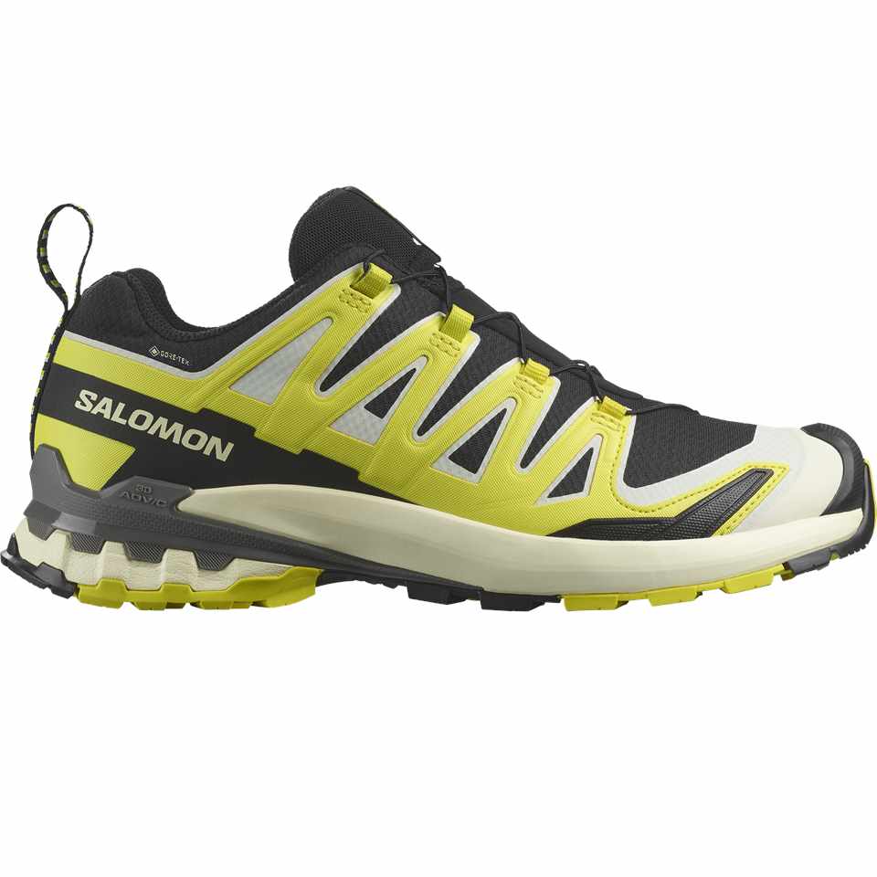 Trakks SALOMON XA Pro 3D V9 GTX® Heren Herenschoenen Wandelschoenen
