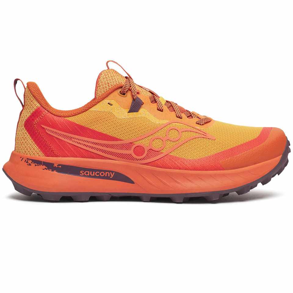 Trakks SAUCONY Peregrine 15 Homme Chaussures Homme Trail