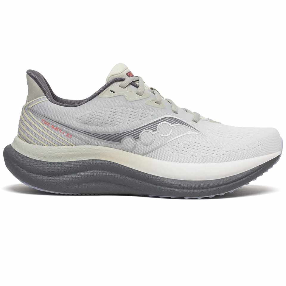 Trakks SAUCONY Triumph 23 Homme Chaussures Homme Route