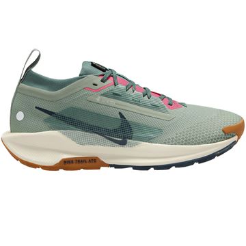 Trakks NIKE Pegausus Trail 5 GTX® Men Men s Shoes Trail