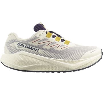 Trakks SALOMON Aero Blaze 3 GRVL GTX® Homme Chaussures Homme Route