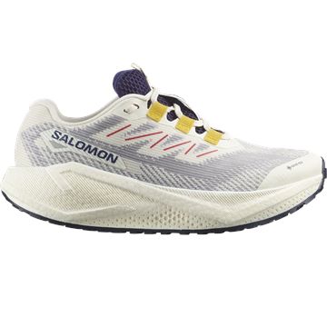 Trakks SALOMON Aero Blaze 3 GRVL GTX® W Dames Damesschoenen Loopschoenen