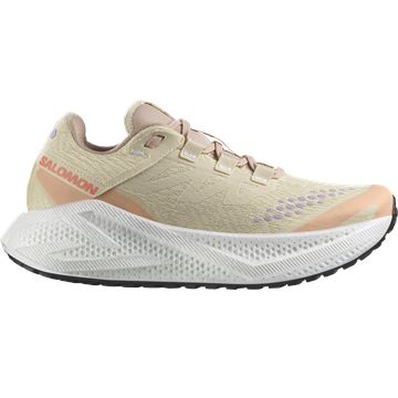 Trakks SALOMON Aero Glide 3 GRVL W Dames Damesschoenen Loopschoenen