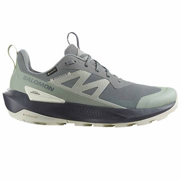 Trakks SALOMON Elixir Activ GTX® Men Men s Shoes Hiking