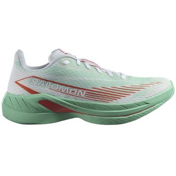 Trakks SALOMON Spectur 2 Heren Herenschoenen Loopschoenen