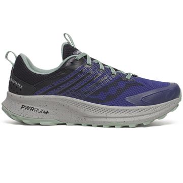 Trakks SAUCONY Ride TR2 GTX® Men Men s Shoes Mixed road and path