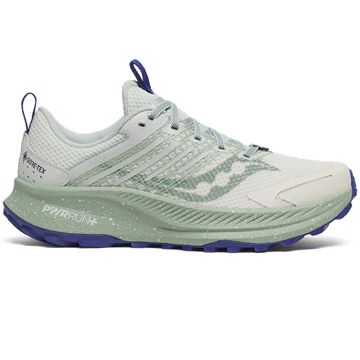 Trakks SAUCONY Ride TR2 GTX® W Ladies Ladies Shoes Mixed road and path