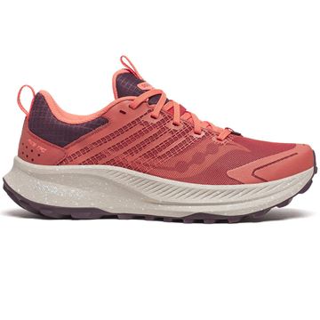 Trakks SAUCONY Ride TR2 W Ladies Ladies Shoes Mixed road and path