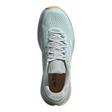 Trakks ADIDAS Terrex Soulstride Flow W Dames Damesschoenen Trailschoenen