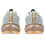 Trakks ASICS Fuji-Lite 6 W Dames Damesschoenen Trailschoenen