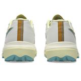 Trakks ASICS Fujispeed 4 Heren Herenschoenen Loopschoenen