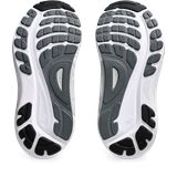 Trakks ASICS Gel-Kayano 31 W Ladies Ladies Shoes Road