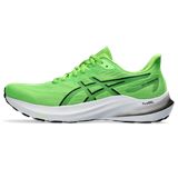 Trakks ASICS GT-2000 12 Homme Chaussures Homme Route