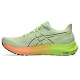 Trakks ASICS GT-2000 12 W Dames Damesschoenen Loopschoenen