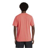 Trakks NEW BALANCE Athletics T-Shirt Homme Vêtements Homme T-Shirt et singlets