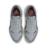 Trakks NIKE Pegasus 41 GTX® Homme Chaussures Homme Route