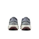 Trakks NIKE Pegasus 41 GTX® Homme Chaussures Homme Route