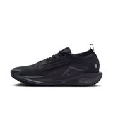Trakks NIKE Pegausus Trail 5 GTX® Men Men s Shoes Trail