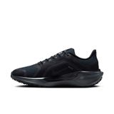 Trakks NIKE WMNS Pegasus 41 GTX® Femme Chaussures Femme Route