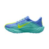 Trakks NIKE WMNS Pegasus Plus Femme Chaussures Femme Route