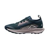 Trakks NIKE WMNS Pegasus Trail 5 GTX® Femme Chaussures Femme Trail