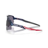 Trakks OAKLEY Sutro Lite Sweep - Prizm Grey Accessories Equipement Glasses