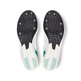 Trakks ON Cloudspike 10000 M Heren Herenschoenen Atletiek