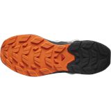 Trakks SALOMON Elixir Activ GTX® Heren Herenschoenen Wandelschoenen