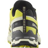 Trakks SALOMON XA Pro 3D V9 GTX® Heren Herenschoenen Wandelschoenen